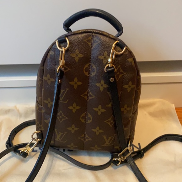 Louis Vuitton Palm Springs Mini - Picture 4 of 13